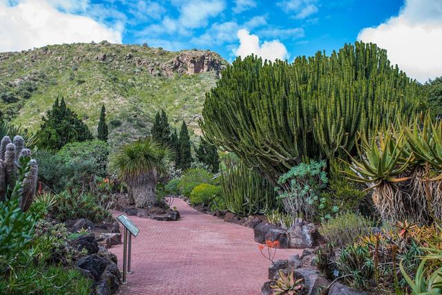 Jardín Botánico Canario Viera y Clavijo